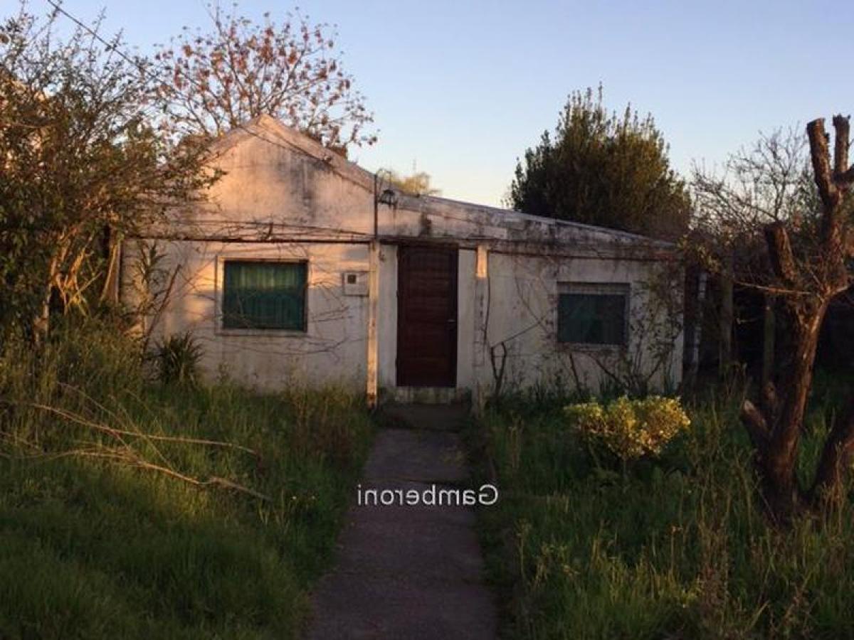 2 Schlafzimmer Haus in Montevideo, Uruguay, Nr. 4598
