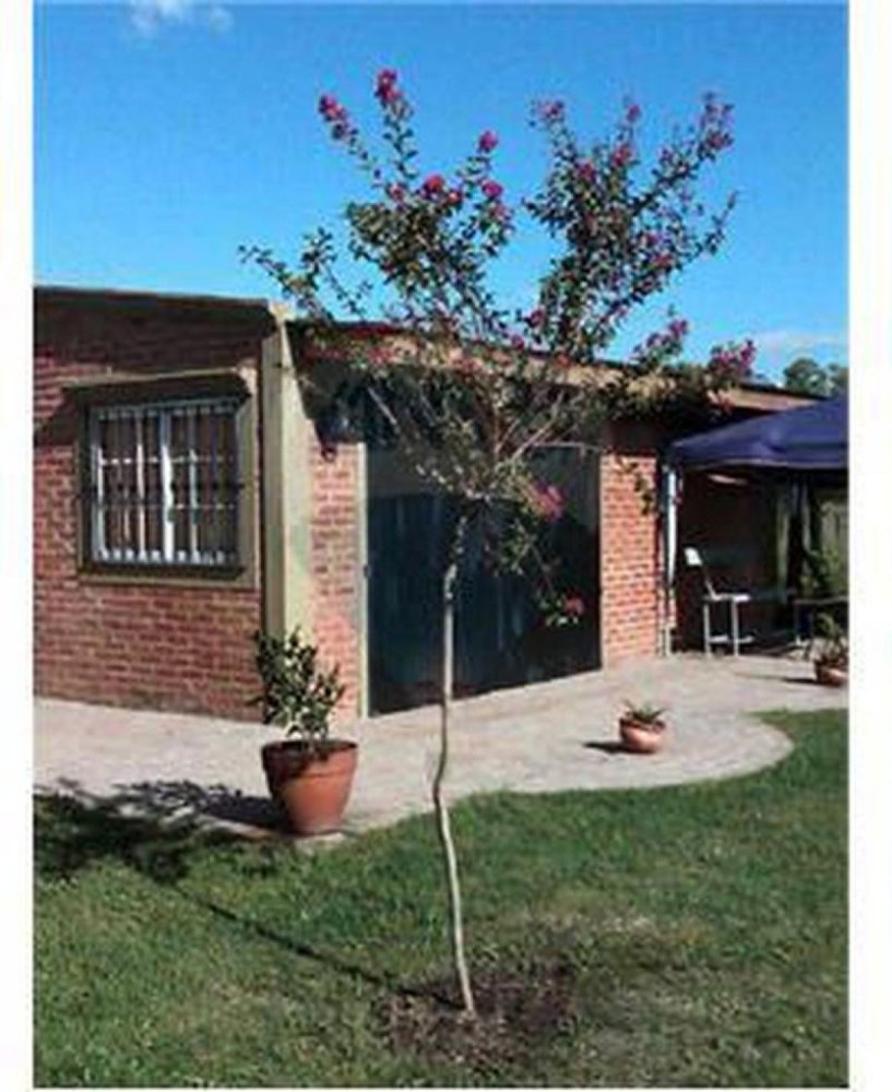 3 غرف نوم مزرعة في General Las Heras, Argentina رقم 34223