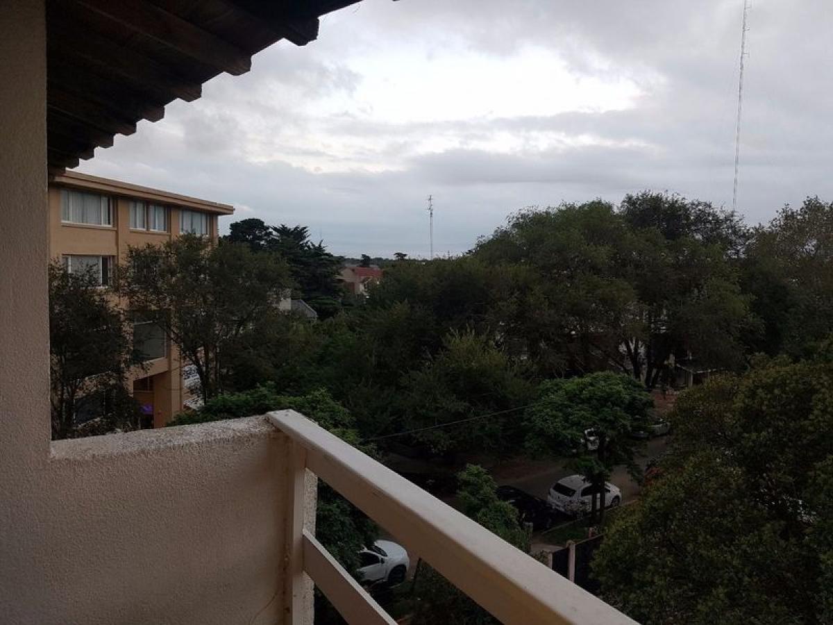 Estudio en Mar del Plata, Argentina No. 72267