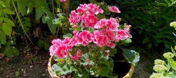 Terreno en Weimar, Germany No. 358387 11