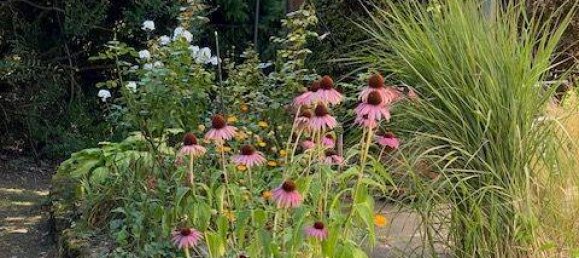 Terreno en Weimar, Germany No. 358387 16