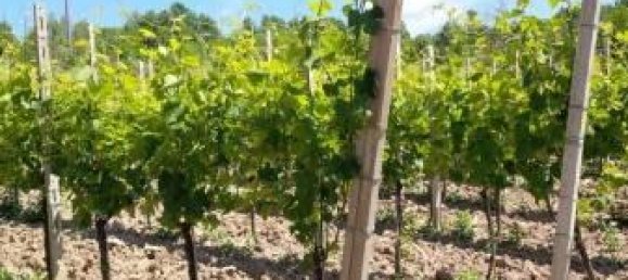 2-Zimmer Haus in Bobbio, Italy, Nr. 23624 4