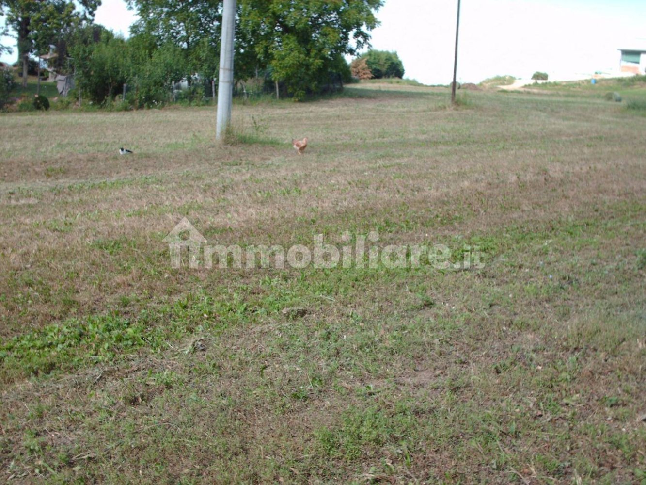 1305m² Land in Baiso, Italy No. 254526