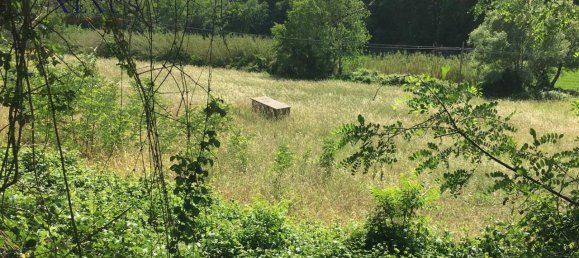 25647m² Land in San Costanzo, Italy No. 176077 5