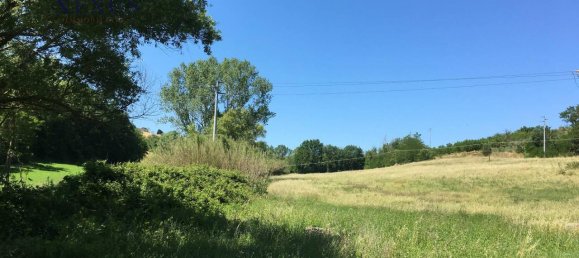 25647m² Land in San Costanzo, Italy No. 176077 4