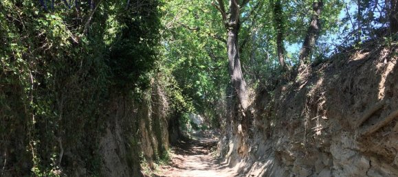 25647m² Land in San Costanzo, Italy No. 176077 3