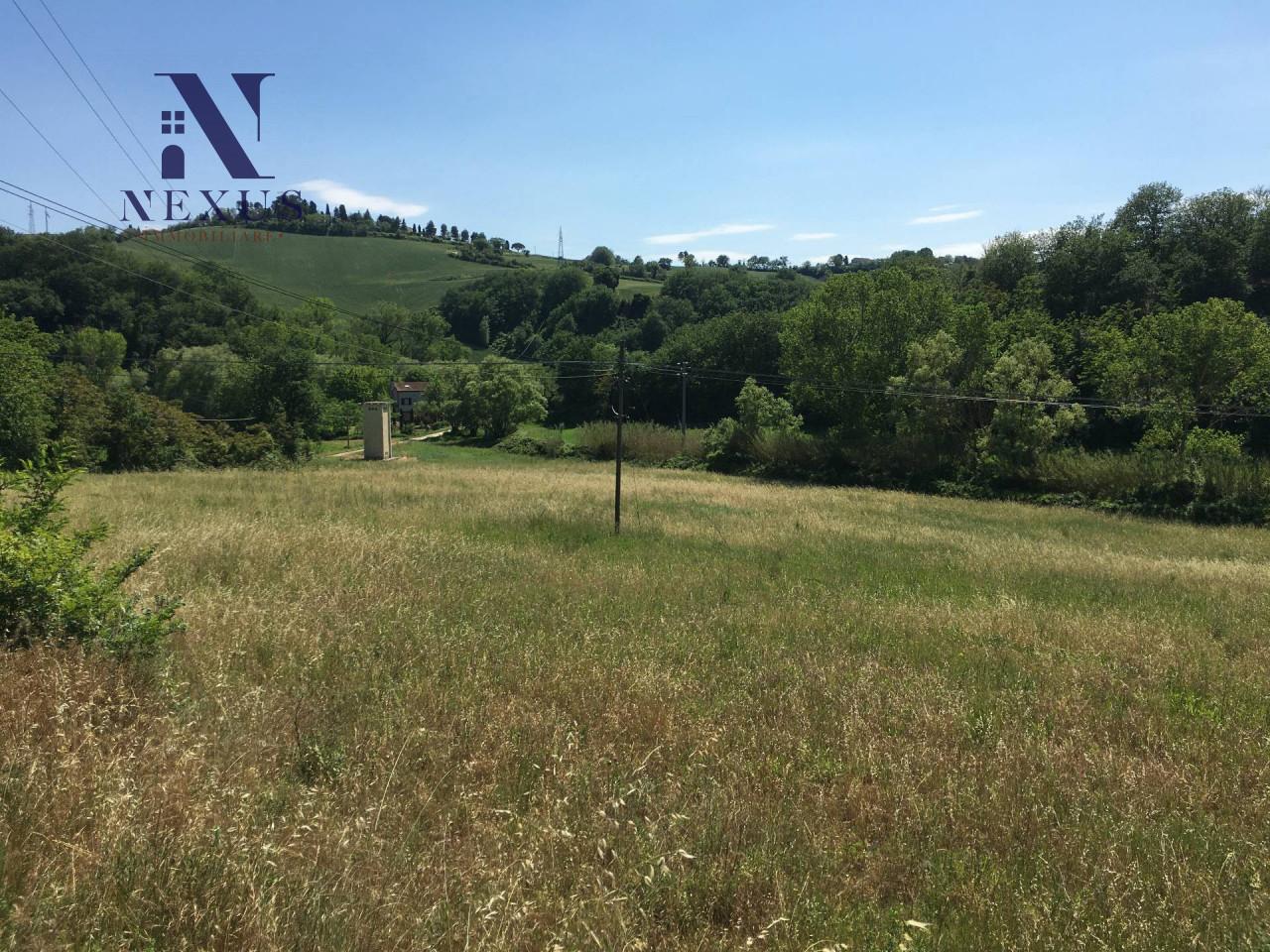 25647m² Land in San Costanzo, Italy No. 176077