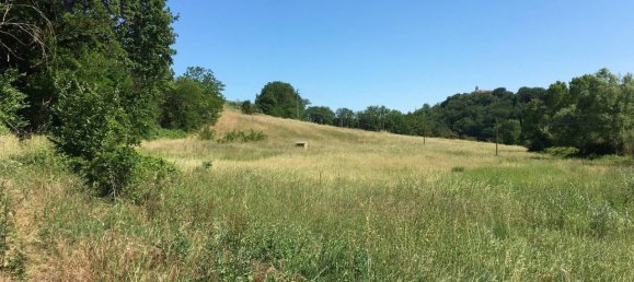 25647m² Land in San Costanzo, Italy No. 176077 6