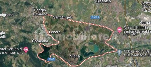 1 bedroom Garage in Signa, Italy No. 300397 13