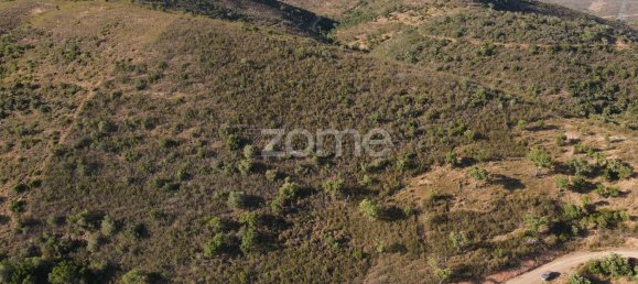 317360m² Land in Sao Bartolomeu de Messines, Portugal No. 47037 4