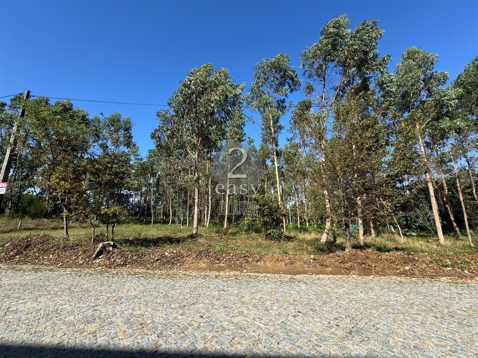 6773m² Land in Arvore, Portugal No. 229580