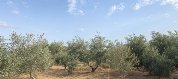 2 Schlafzimmer Haus in Cadiz, Spain, Nr. 148570 12
