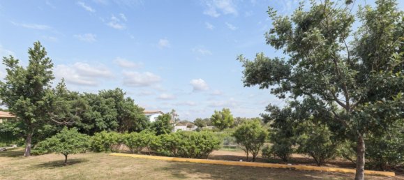 2 Schlafzimmer Haus in Cadiz, Spain, Nr. 148570 11