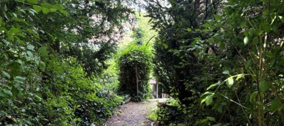 5 rooms House in Breisgau-Hochschwarzwald, Germany No. 347921 7