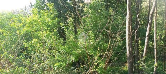 Terrain à Teolo, Italy 36500m² No. 67087 4