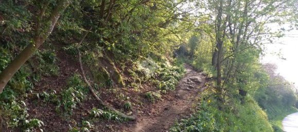 Terrain à Teolo, Italy 36500m² No. 67087 2