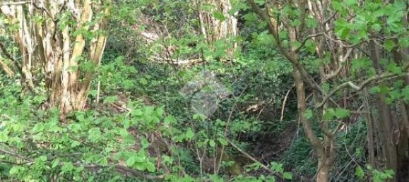 Terrain à Teolo, Italy 36500m² No. 67087 5