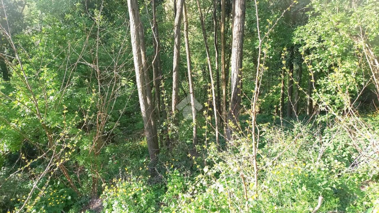 Terrain à Teolo, Italy 36500m² No. 67087