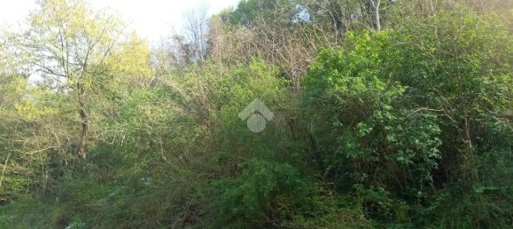 Terrain à Teolo, Italy 36500m² No. 67087 6