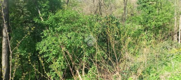 Terrain à Teolo, Italy 36500m² No. 67087 8