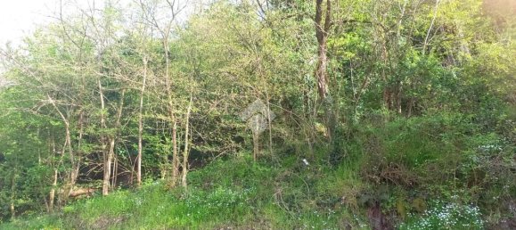 Terrain à Teolo, Italy 36500m² No. 67087 9