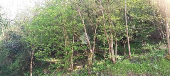 Terrain à Teolo, Italy 36500m² No. 67087 10