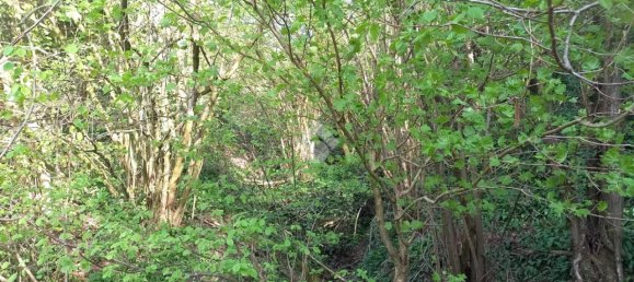 Terrain à Teolo, Italy 36500m² No. 67087 7