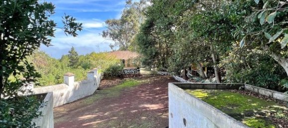 2 bedrooms House in Tenerife, Spain No. 63943 25