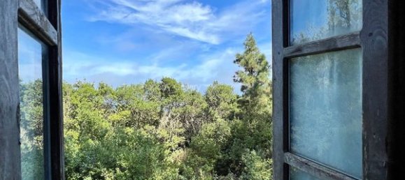 2 bedrooms House in Tenerife, Spain No. 63943 13