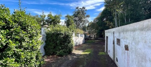 2 bedrooms House in Tenerife, Spain No. 63943 32