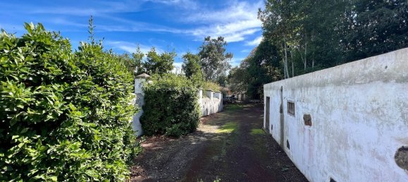 2 bedrooms House in Tenerife, Spain No. 63943 63