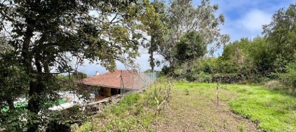 2 bedrooms House in Tenerife, Spain No. 63943 29