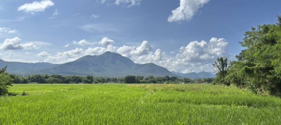 Terrain à Chiang Mai, Thailand No. 70049 3