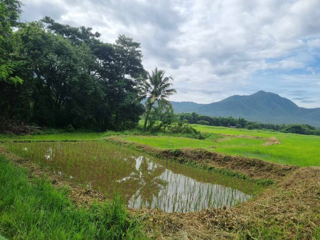 Terrain à Chiang Mai, Thailand No. 70049