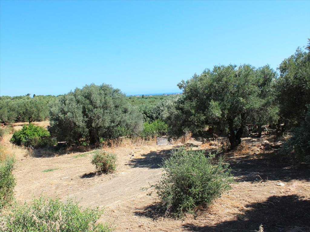 Земельный участок 2009м² в Херсонисос, Греция № 95257