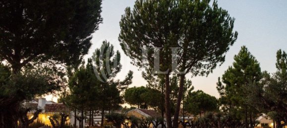 1 bedroom House in Grandola, Portugal No. 165003 9