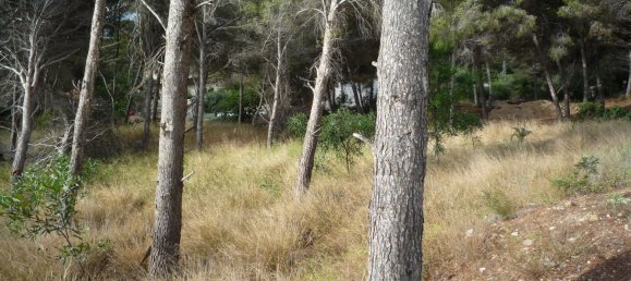 Terrain à Moraira, Spain No. 92233 12