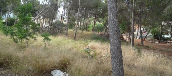 Terrain à Moraira, Spain No. 92233 2