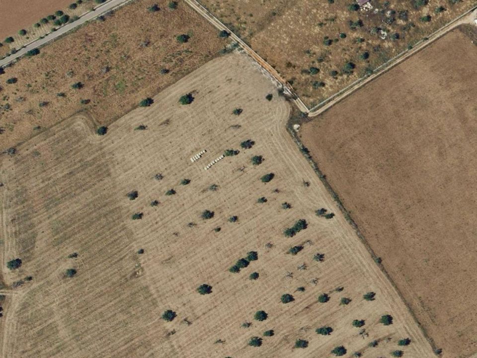  Land in Campos, Spain No. 276991