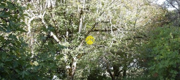 2 غرف نوم منزل في Dordogne, France رقم 342917 5