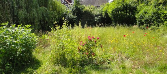 Casa de 6 dormitorios en Schwalm-Eder, Germany No. 311996 46