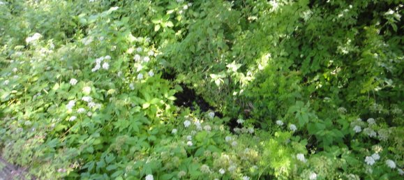 Casa de 6 dormitorios en Schwalm-Eder, Germany No. 311996 44