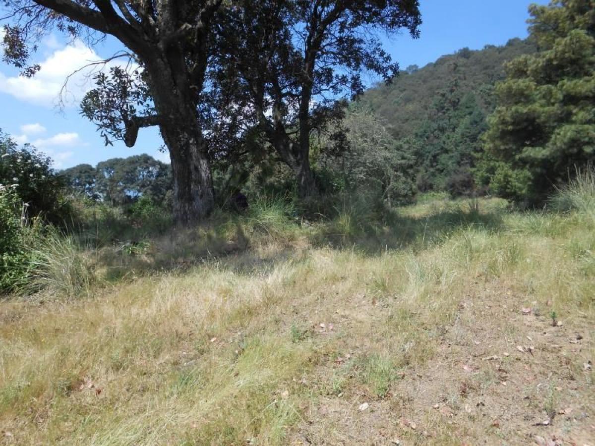 Terreno en Xalatlaco, Mexico No. 204560