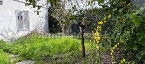 1 bedroom Apartment in Nereto, Italy No. 14360 14