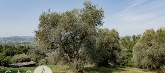 60000m² Land in Cesena, Italy No. 350343 4