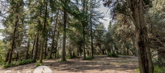 60000m² Land in Cesena, Italy No. 350343 7