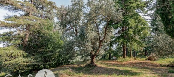 60000m² Land in Cesena, Italy No. 350343 10