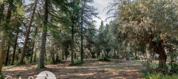 60000m² Land in Cesena, Italy No. 350343 8