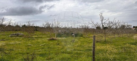  Land in Vila Nova da Baronia, Portugal No. 227868 3