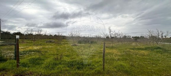  Land in Vila Nova da Baronia, Portugal No. 227868 5